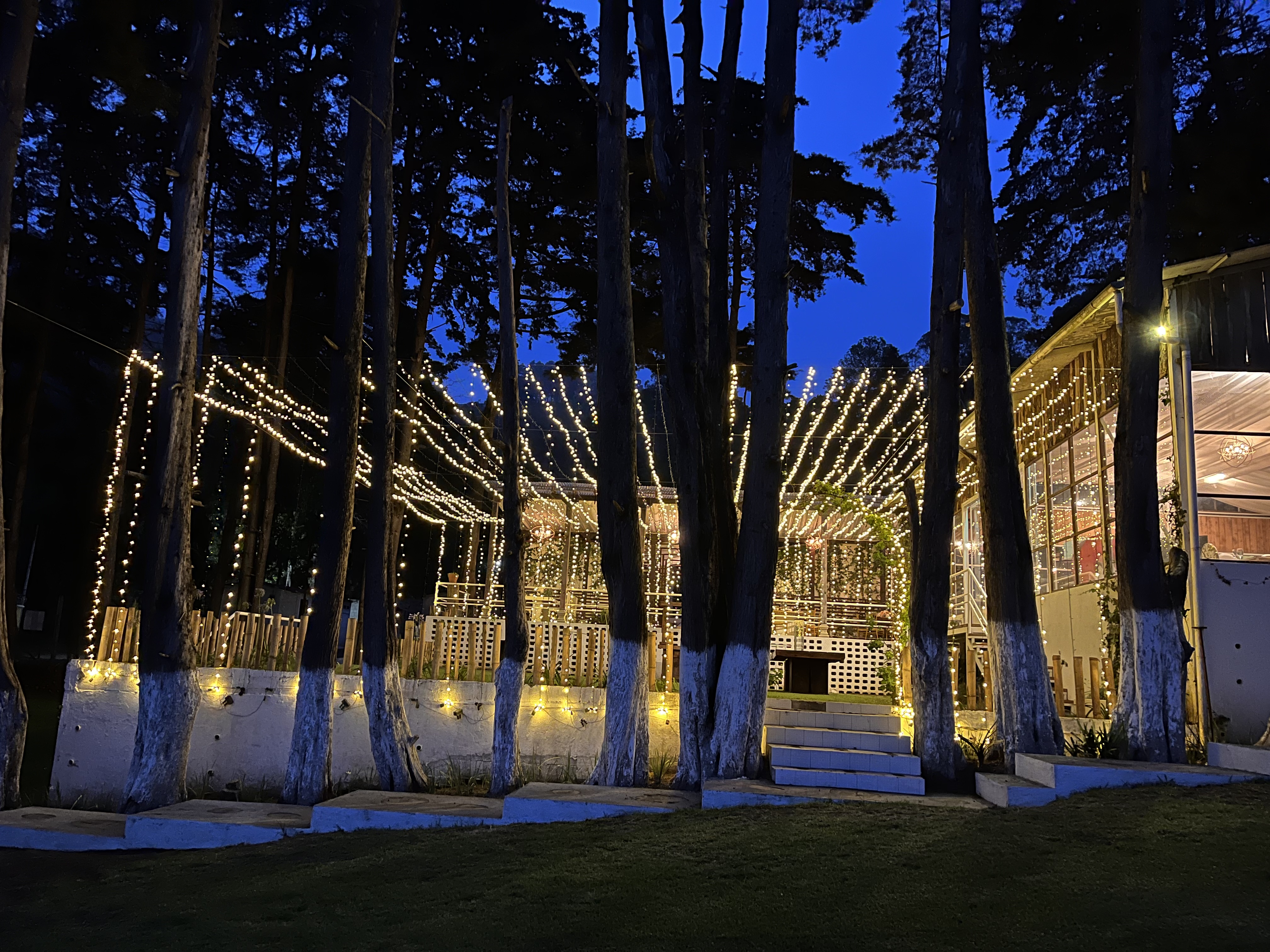 Jardín Campo Alegre 